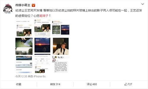 小明星网红属性有哪些,揭秘网红属性与魅力