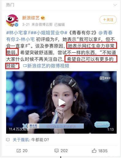 香港直播明星网红是谁,揭秘当红网红之谜