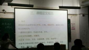 当下社会的热门话题作文,探讨当下热门话题的挑战与机遇