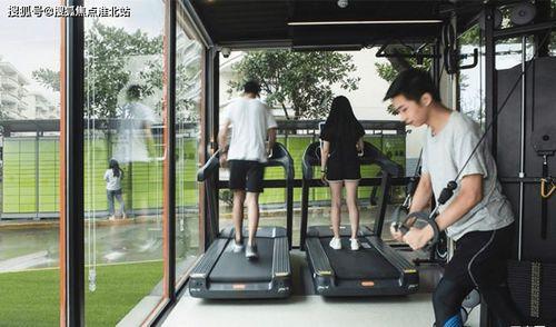 沙特瓜价格今日市场价多少钱,行情波动，价格几何？”