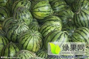 今日脆瓜批发价格多少钱,实惠之选，品质生活新体验