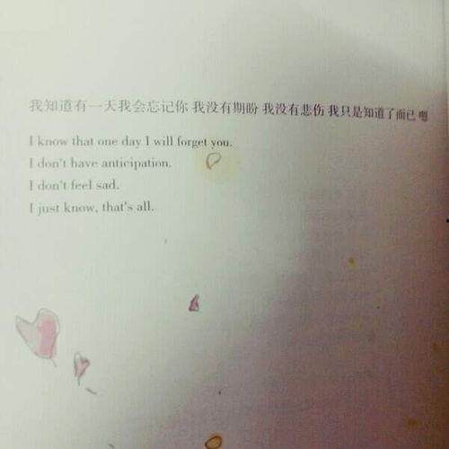热门话题我留不住爱你,揭秘“热门话题”背后的情感纠葛