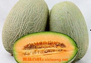 蒙阳水果批发市场今日价格哈密瓜,今日哈密瓜价格行情一览