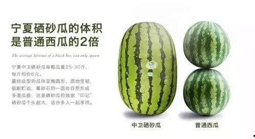 硒砂瓜今日价格丰县批发价格,今日行情一览”