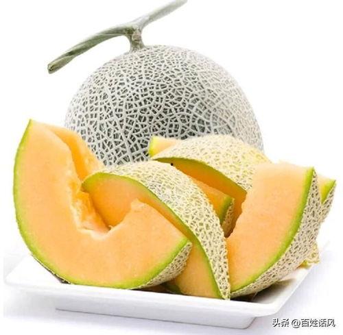 嘉兴批发市场哈密瓜3号今日价格,品质佳，实惠购