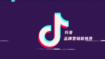 抖音最能上热门话题的人,揭秘人生巅峰的秘诀