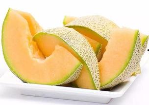 郑州万邦新疆哈密瓜今日行情,甜蜜上市，价格波动解析