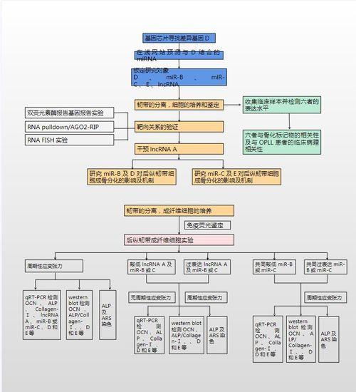 热门话题结构化模板,深度解析社会焦点与热点事件