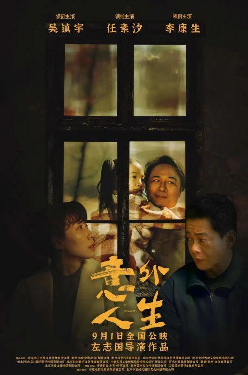 电影意外,命运转折的惊悚之旅
