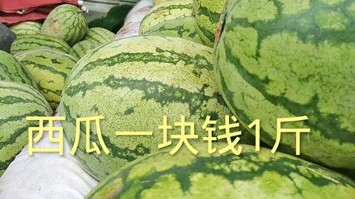 三亚今日瓜价多少钱一斤,新鲜瓜果价格一览