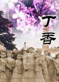丁香花电影,爱与牺牲的青春旋律