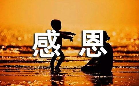 热门话题感恩父母的爱情,见证爱情的力量，传承家的温暖
