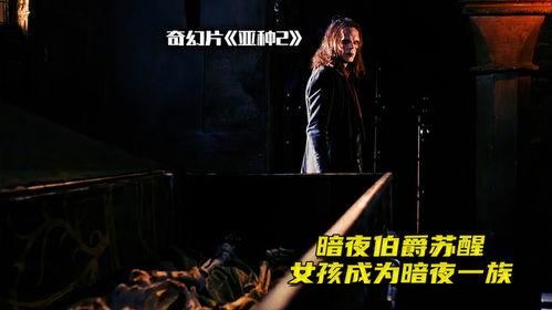 电影暗夜,探寻人性深渊的惊悚之旅