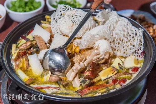 明星网红吃云南野生菌,明星网红探寻云南野生菌美食之旅