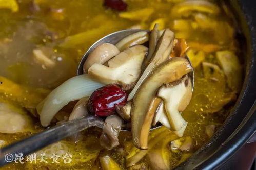 明星网红吃云南野生菌,明星网红探寻云南野生菌美食之旅