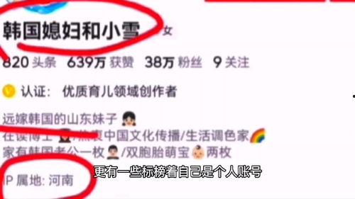 明星网红ip地址是什么,追踪网络红人的数字足迹