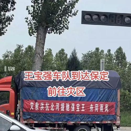 给涿州捐款的明星网红,涿州捐款行动中的明星网红力量”