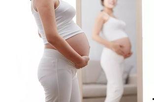 孕晚期热门话题大全男女,揭秘男女生差异与育儿心得