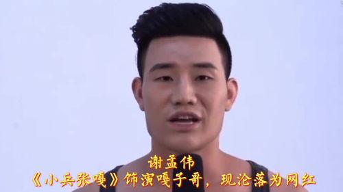 国家富强靠明星网红吗,明星网红的推动作用与反思