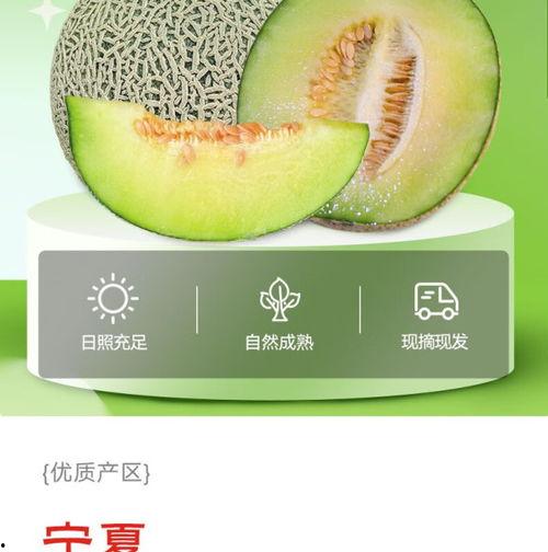 今日蜜瓜卖价多少钱一个,XX元/个，尽享夏日甜蜜时光