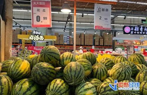 沙特瓜多少钱一斤现在价格今日,一斤多少钱的行情速览