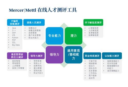 人才测评工具热门话题,热门话题下的测评趋势与挑战