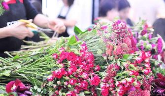 鲜花行业热门话题有哪些,趋势洞察与市场风向