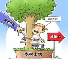 维护农民权益热门话题,聚焦农民权益维护热点问题