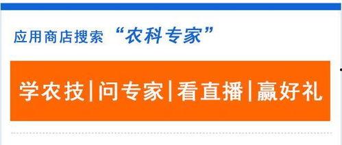 维护农民权益热门话题,聚焦农民权益维护热点问题