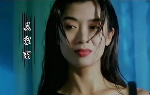 明星网红破产了吗视频播放,揭秘视频播放背后的真相