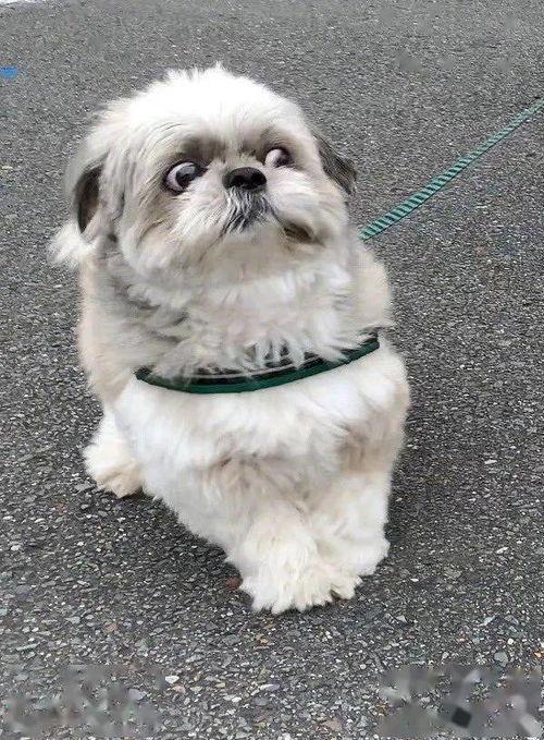 容易当明星网红的星盘,易成明星网红的璀璨天赋