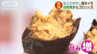 热门话题烤地瓜道具推荐,冬日必备！热门话题烤地瓜道具大推荐