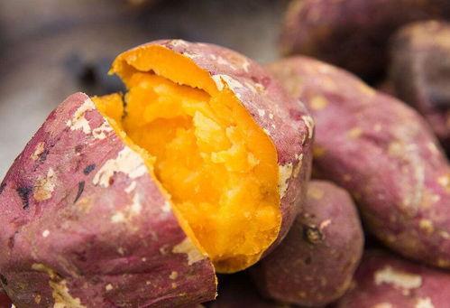 热门话题烤地瓜道具推荐,冬日必备！热门话题烤地瓜道具大推荐