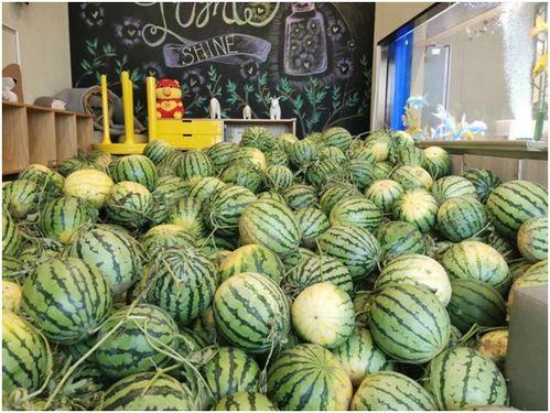 惠州今日吃瓜事件最新进展,真相揭晓，疑云散去