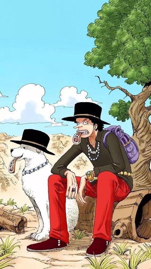 海贼王抖音热门话题,揭秘热门话题背后的精彩故事