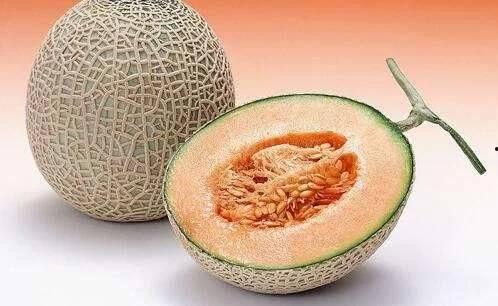 金华水果批发市场哈密瓜今日价格,价格行情一览”