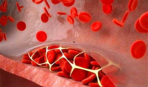 哈密瓜牛三今日市场价格行情,今日价格波动解析