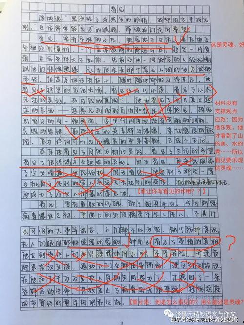 热门话题的嬗变之旅作文,从热议焦点到时代印记