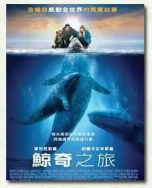 鲸电影,探寻深海奇遇，揭秘海洋生物奥秘