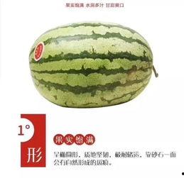 新疆硒砂瓜今日产地收购价格,丰硕收益背后的市场动态