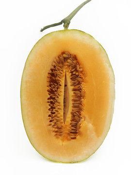 东方市哈密瓜今日报价