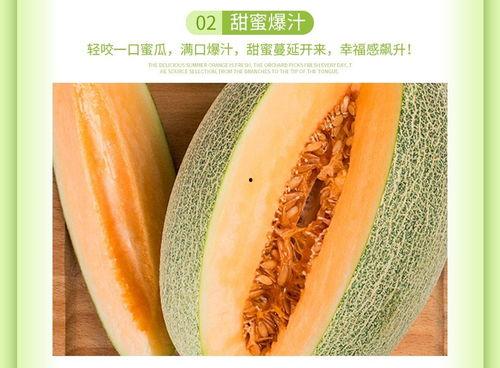 海南省今日哈密瓜价格表,新鲜美味，价格走俏