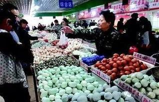 乳瓜批发市场今日报价11.4,行情分析及走势预测