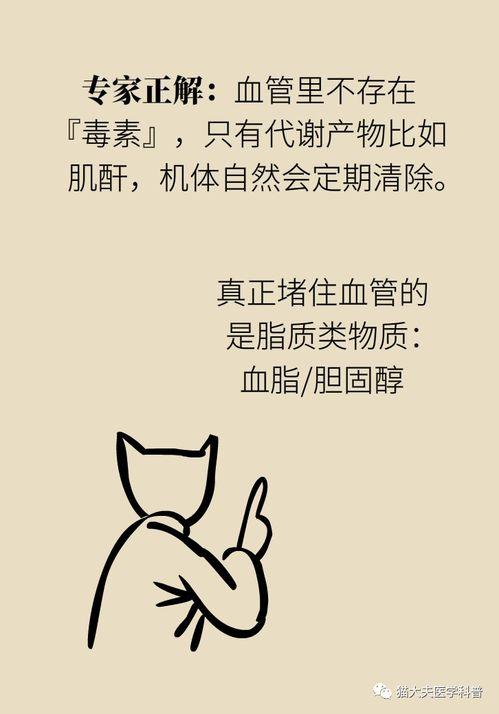 心凉了的热门话题短句,热门话题背后的情感共鸣与反思