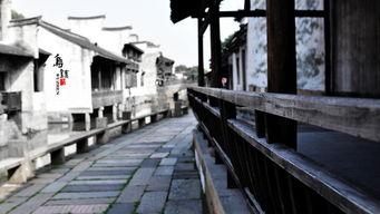 乌镇论坛热门话题有哪些,聚焦数字经济、绿色发展、全球治理等前沿议题