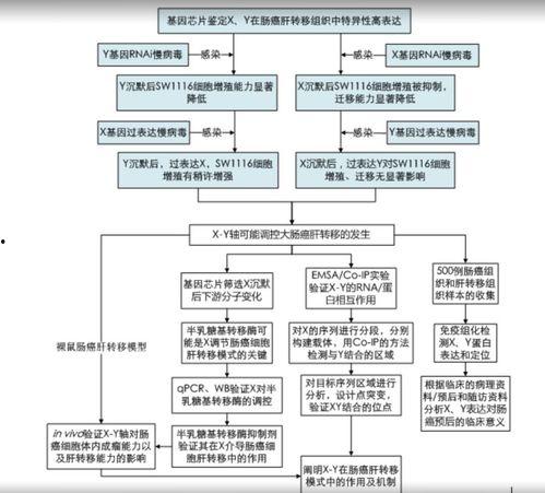 上热门话题技巧 模板图,揭秘高效模板图生成技巧，轻松抢占流量高地