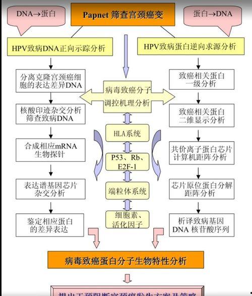 上热门话题技巧 模板图,揭秘高效模板图生成技巧，轻松抢占流量高地