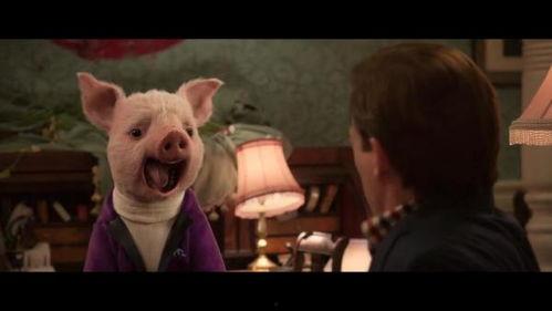 猪猪电影,萌宠喜剧的欢乐盛宴