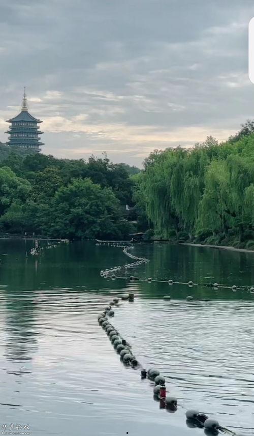 西湖美景抖音热门话题