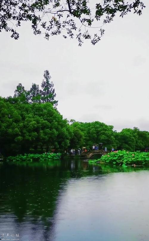西湖美景抖音热门话题